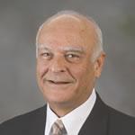 Portrait of Ali H. Nayfeh, Science & Medicine