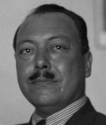Portrait of Hussein Fakhri al-Khalidi, Politics & Diplomacy