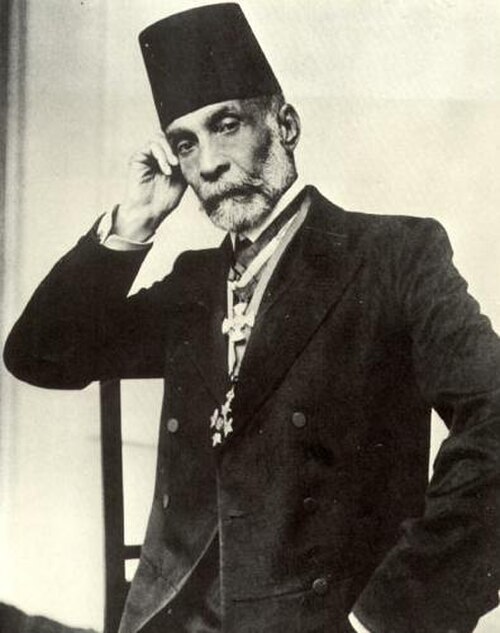 Portrait of Musa Kazim al-Husseini, Politics & Diplomacy