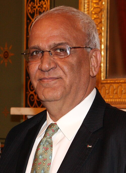 Portrait of Saeb Erekat, Politics & Diplomacy