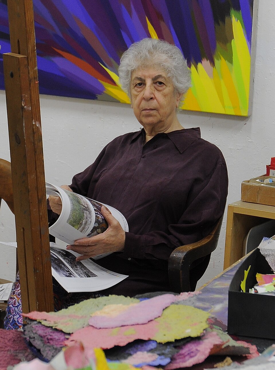 Portrait of Samia Halaby, Visual Arts