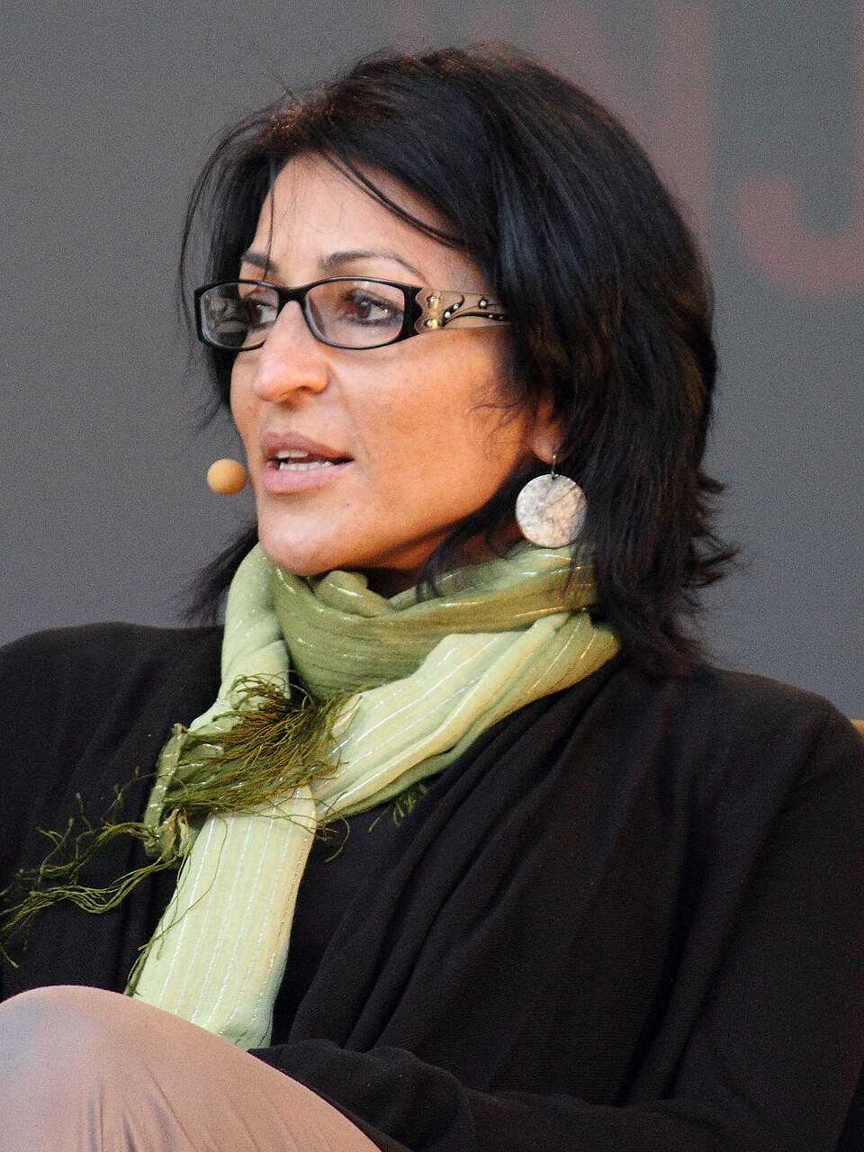 Portrait of Susan Abulhawa, Literature & Poetry